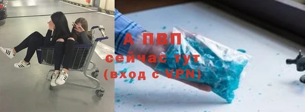 спайс Пересвет