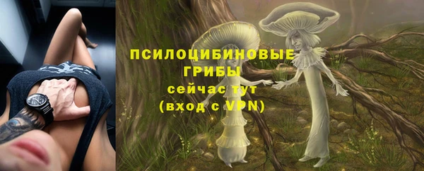 MESCALINE Переславль-Залесский