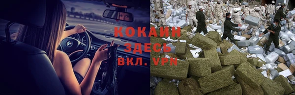 спайс Пересвет