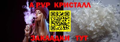 СК Бийск
