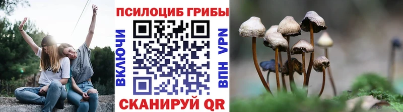 Псилоцибиновые грибы ЛСД  Грязи 