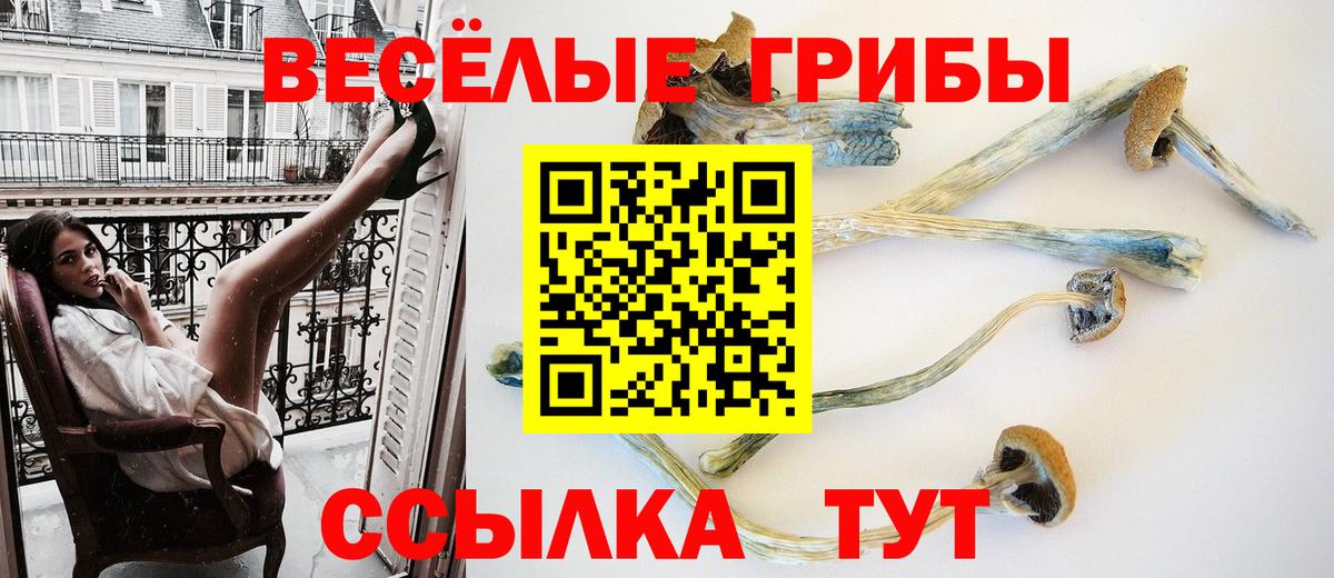 Псилоцибиновые грибы Magic Shrooms Грязи